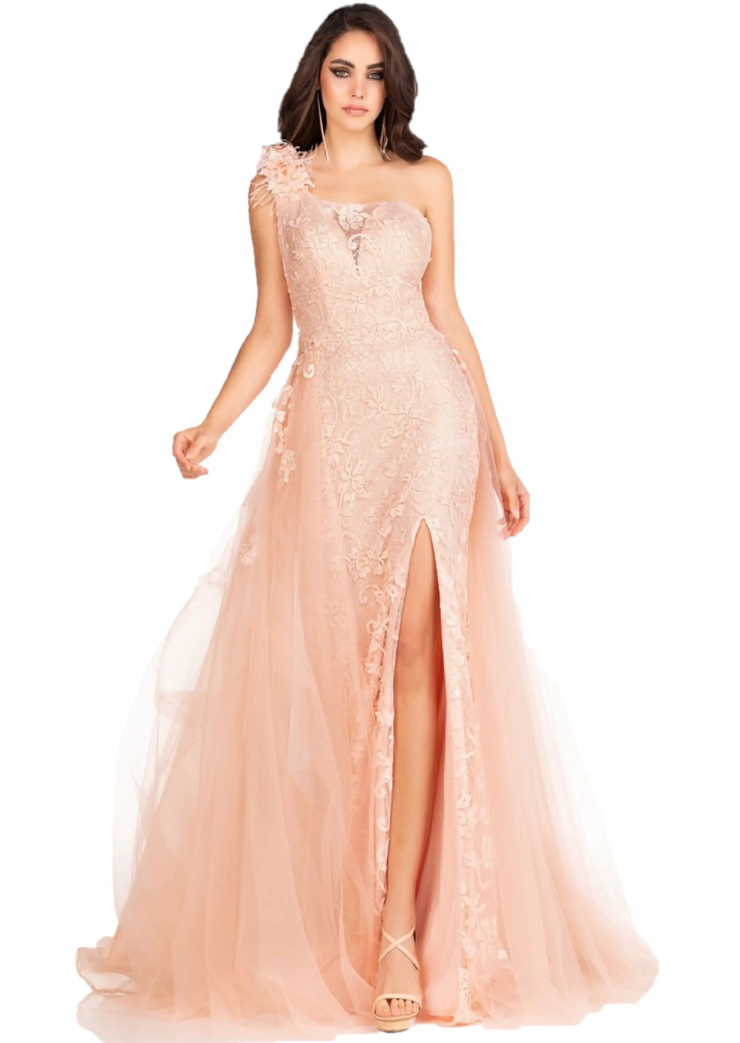 Abby Paris 90109 Evening Gown Size 6 Blush Long Fitted One Shoulder Feather 3d Floral Lace Dress Overskirt Pageant Gown