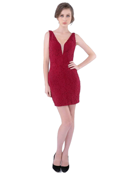 Nina Canacci 266 Size 2, 4, 6 Burgundy, Navy Short Fitted V Neck Formal Lace Cocktail Dress V Neck Sheer Side