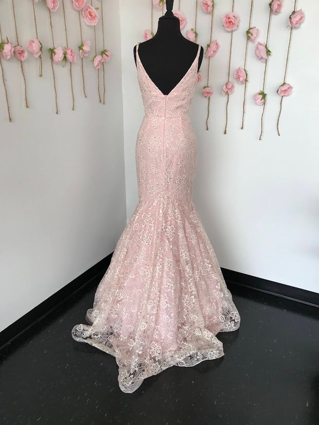 Ashley Lauren 1743 Long Lace formal Mermaid Prom Dress with clear petite sequins  and crystal rhinestone accents. v neckline with a solid lace base. Great pageant Gown  size 4 Blush 