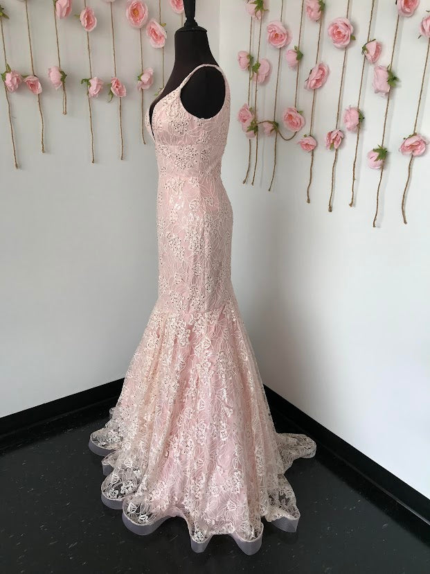 Ashley Lauren 1743 Long Lace formal Mermaid Prom Dress with clear petite sequins  and crystal rhinestone accents. v neckline with a solid lace base. Great pageant Gown  size 4 Blush 